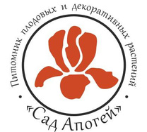 Подарочные сертификаты