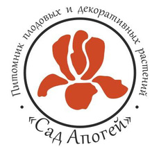 Подарочные сертификаты